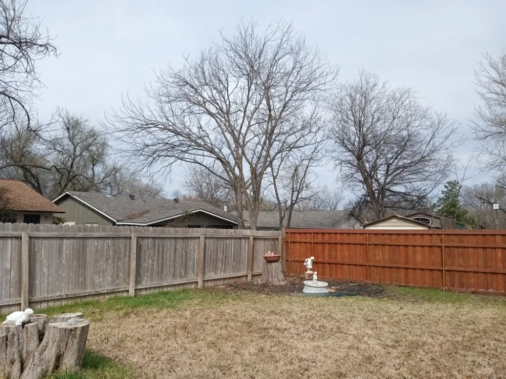 Affordable garden landscaping for beautiful yards across Austin, TX - L&I Tree Service and More
