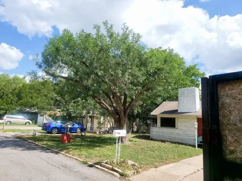 Trusted outdoor landscaping in Austin, TX - L&I Tree Service and More