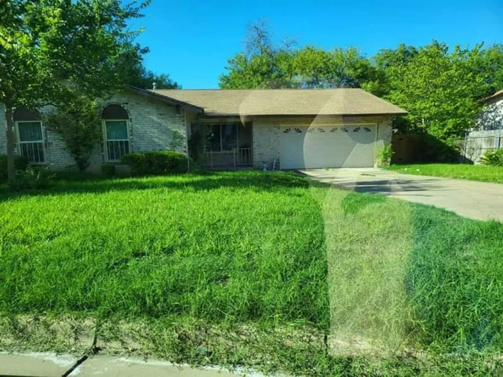 Custom yard maintenance experts serving Austin, TX - L&I Tree Service and More