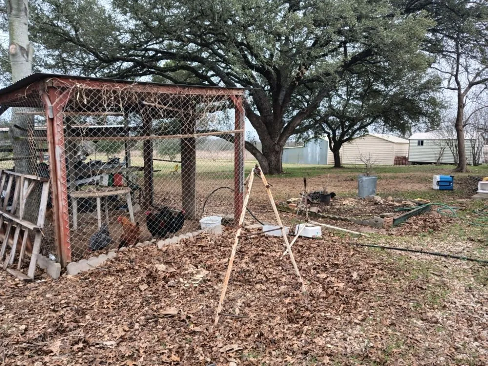 Affordable landscape design in Austin, TX by L&I Tree Service and More