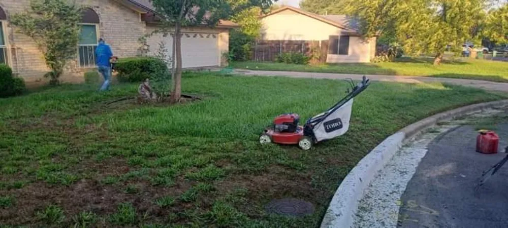 Reliable outdoor landscaping in Austin, TX - L&I Tree Service and More