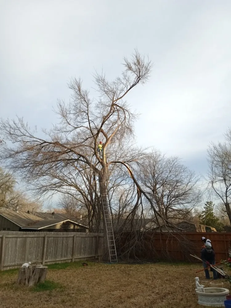 Expert garden landscaping in Austin, TX by L&I Tree Service and More