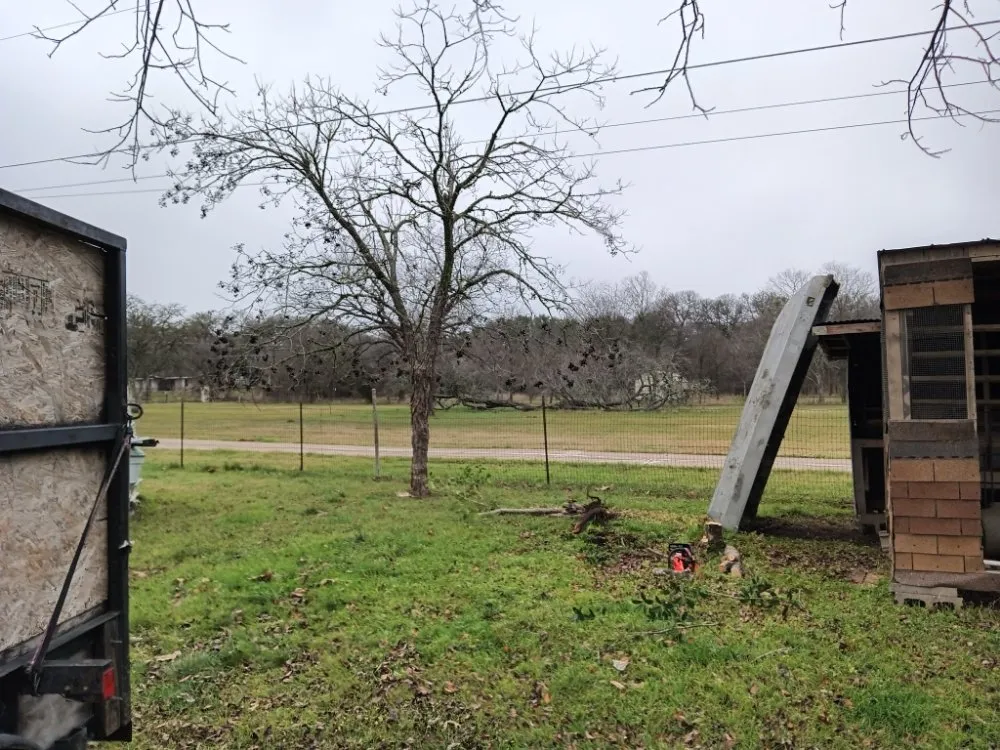 Local yard cleanup service for outdoor upgrades across Austin, TX - L&I Tree Service and More