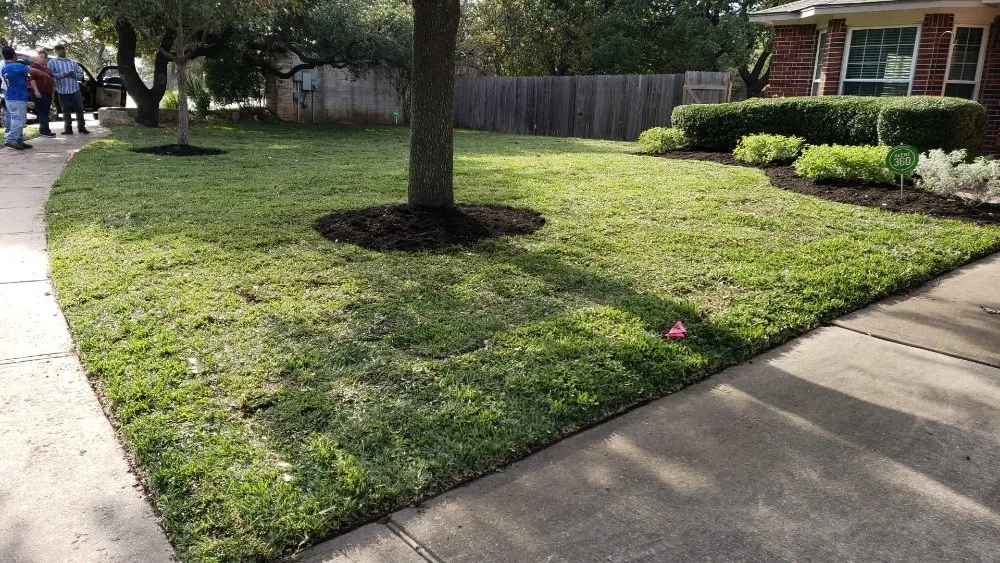 Local yard maintenance in Austin, TX by L&I Tree Service and More