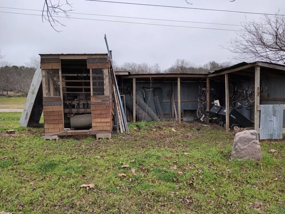 Professional yard cleanup service for year-round maintenance in Austin, TX by L&I Tree Service and More