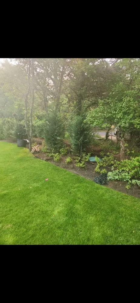 Affordable yard maintenance in Lynn, MA by Liam Landscaping