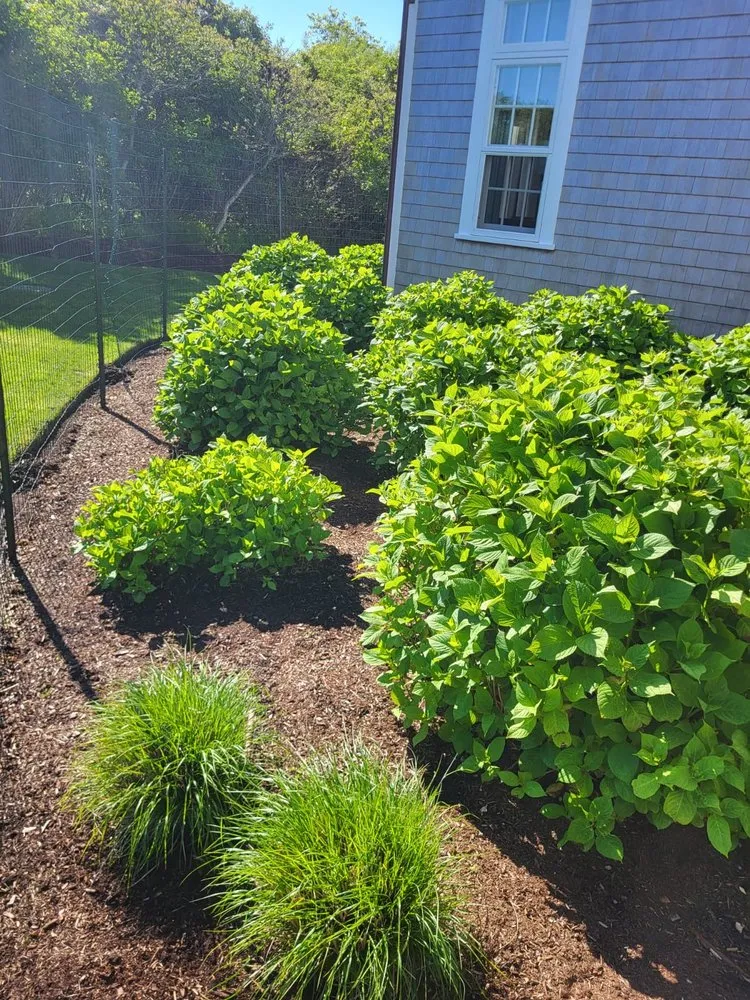 Custom garden landscaping in Lynn, MA - Liam Landscaping