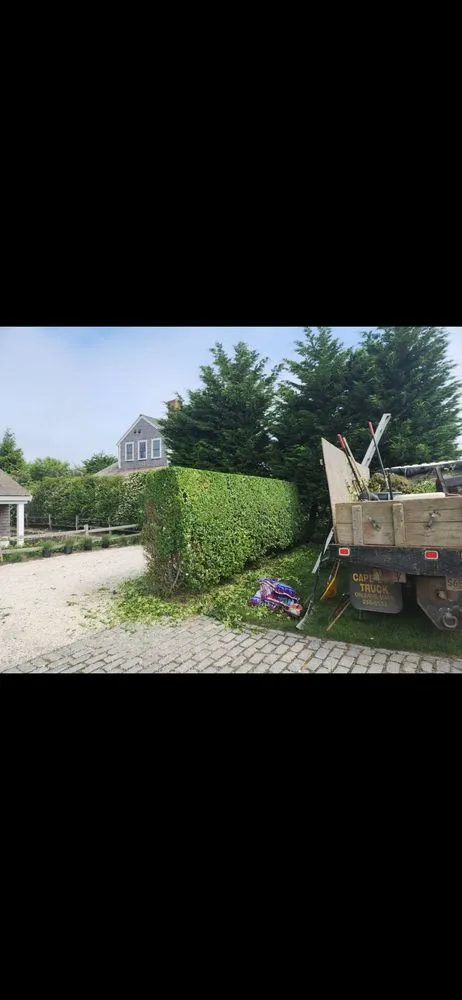 Professional landscape design in Lynn, MA by Liam Landscaping