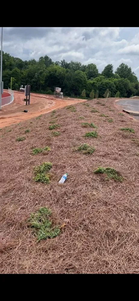 Affordable garden landscaping for beautiful yards in Fayetteville, GA by Liams Landscaping and Irrigation System