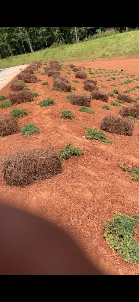 Reliable garden landscaping experts serving Fayetteville, GA - Liams Landscaping and Irrigation System