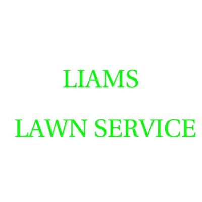 Affordable residential landscaping for year-round maintenance across Brandon, MS - Liams Lawn Service