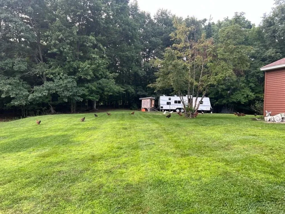 Local landscaping services experts serving Raymond, ME - Libby's Property Maintenance