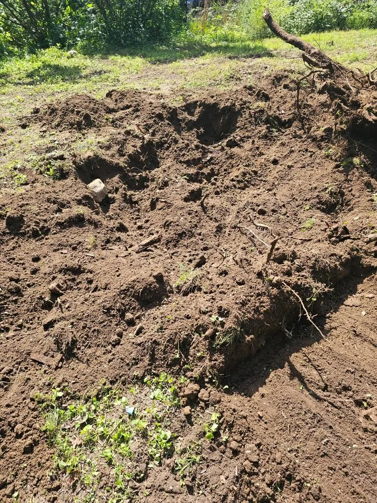 Reliable lawn mowing service for outdoor upgrades in Raymond, ME by Libby's Property Maintenance