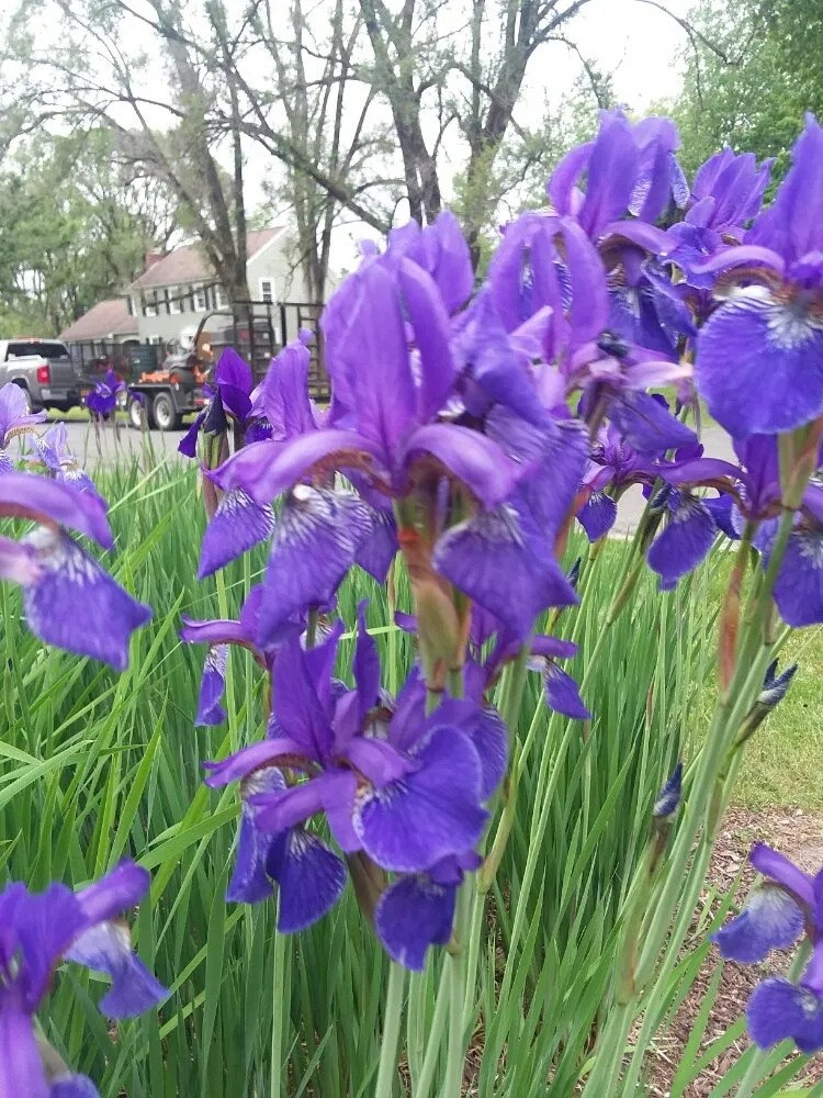 Expert garden landscaping near you across Cottekill, NY - Liberty Bell Landscaping