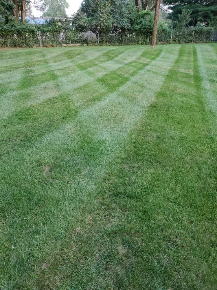 Local landscaping services in Cottekill, NY - Liberty Bell Landscaping