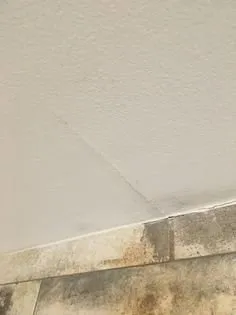 Trusted landscaping services in East Bridgewater, MA - Liberty Construction & Landscape