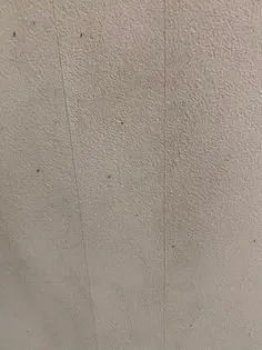 Top-rated landscaping services experts serving East Bridgewater, MA - Liberty Construction & Landscape