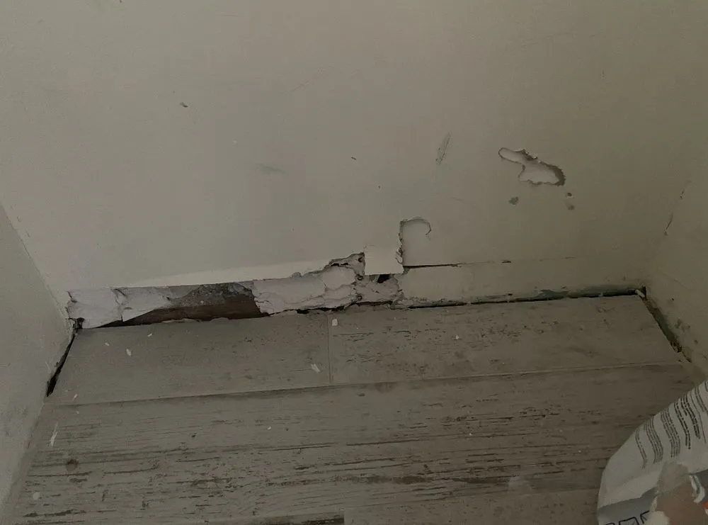 Top-rated lawn care service in East Bridgewater, MA by Liberty Construction & Landscape