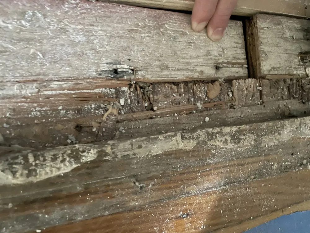 Reliable yard cleanup service in East Bridgewater, MA - Liberty Construction & Landscape