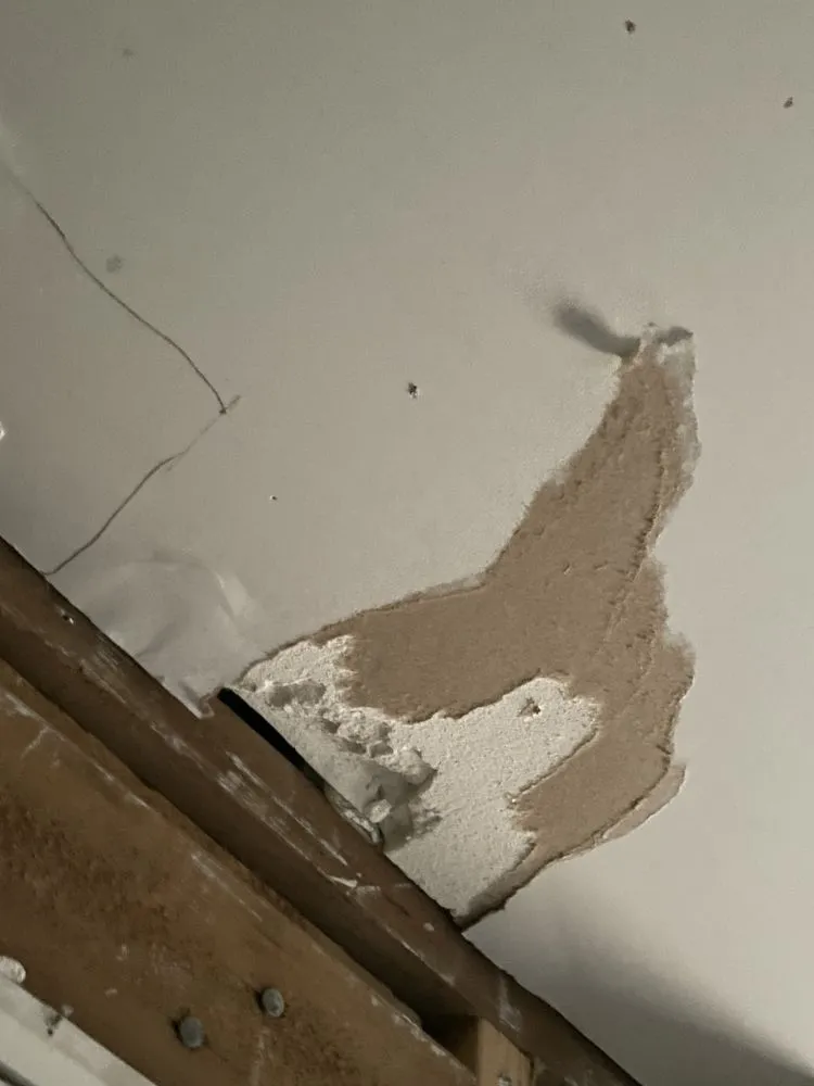 Top-rated landscaping services in East Bridgewater, MA by Liberty Construction & Landscape