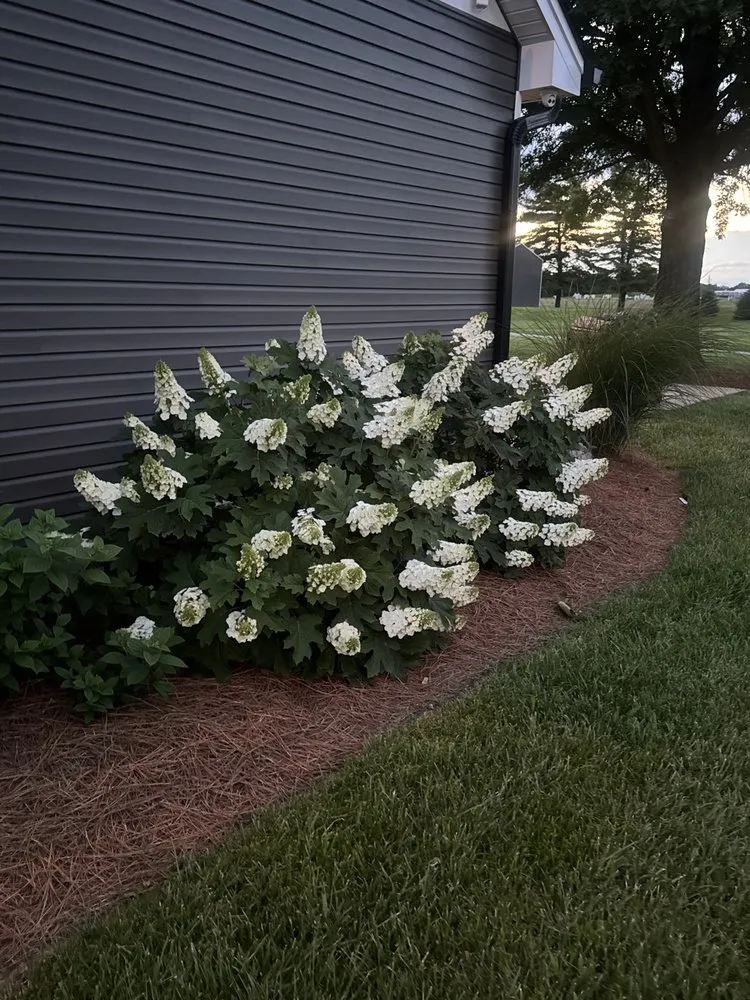 Trusted outdoor landscaping in Liberty Township, OH by Liberty Heritage Nursery Farm