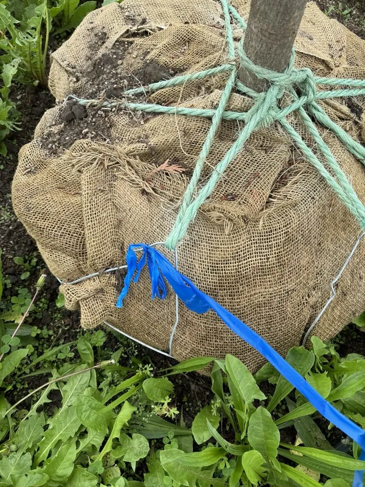 Local yard maintenance in Liberty Township, OH - Liberty Heritage Nursery Farm