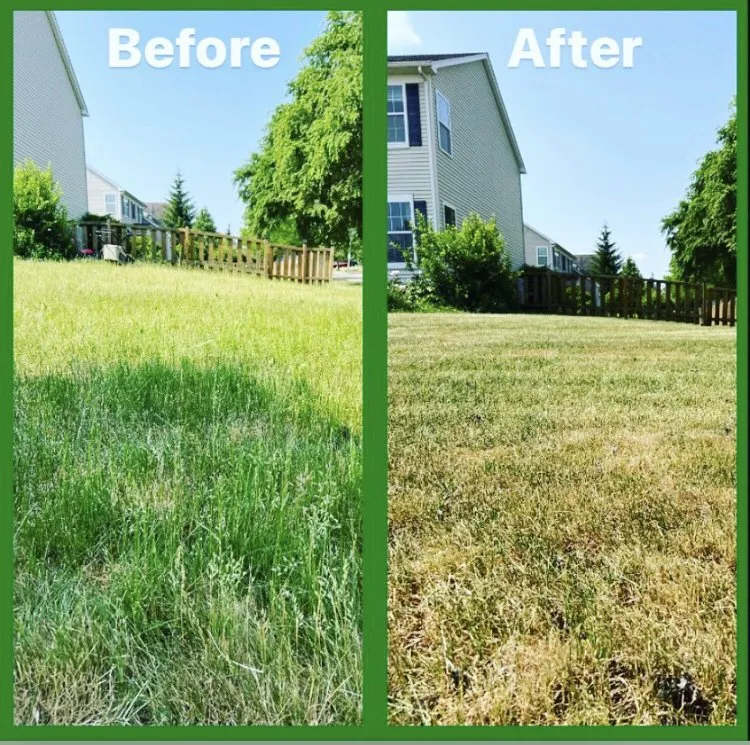 Reliable landscape installation for year-round maintenance across Wauconda, IL - Liberty Lakes Lawn Care
