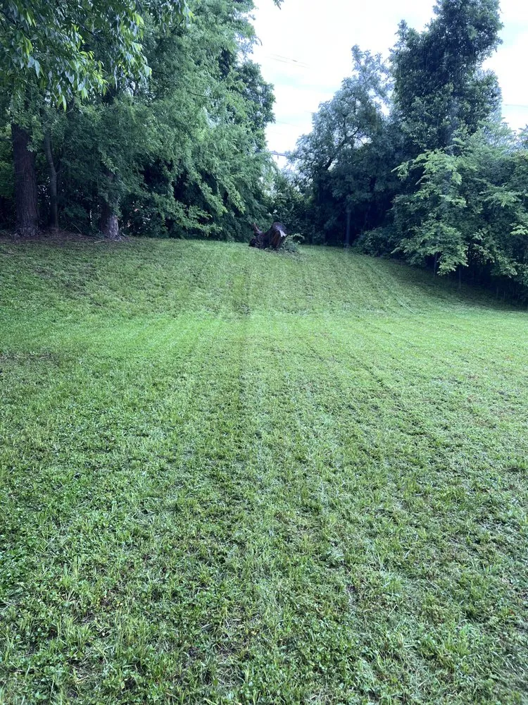 Expert yard cleanup service for outdoor upgrades in Overton, TX by Liberty Land And Lawn