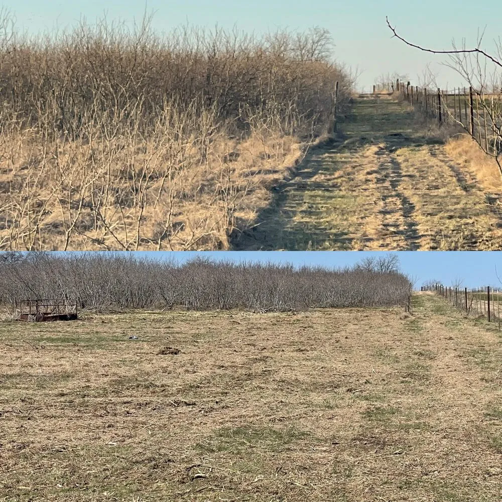 Trusted lawn mowing service in Waco, TX - Liberty Land Service