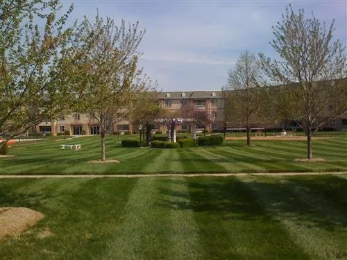 Affordable yard cleanup service in Royalton, IL - Liberty Landcare