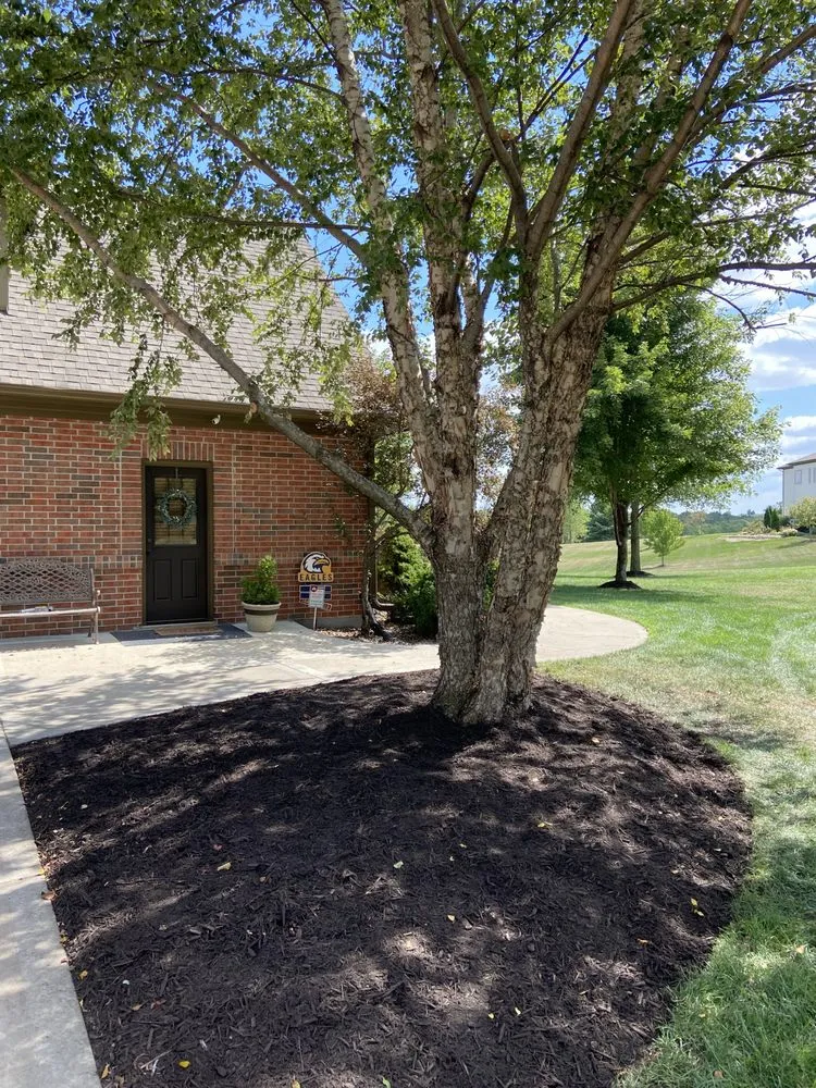 Reliable yard cleanup service in Liberty, MO by Liberty Landscape