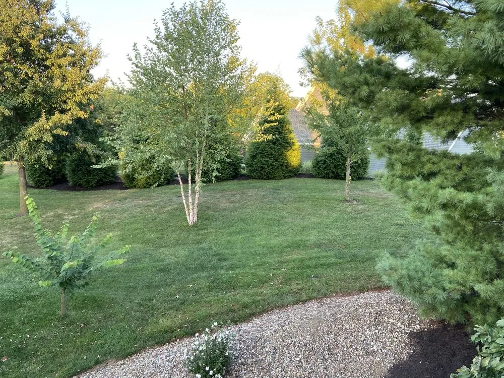 Reliable landscaping services for outdoor upgrades across Liberty, MO - Liberty Landscape