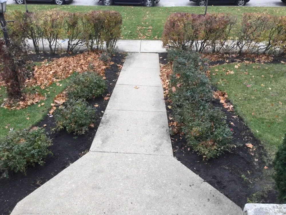 Professional yard maintenance in Park Ridge, IL by Liberty Landscape