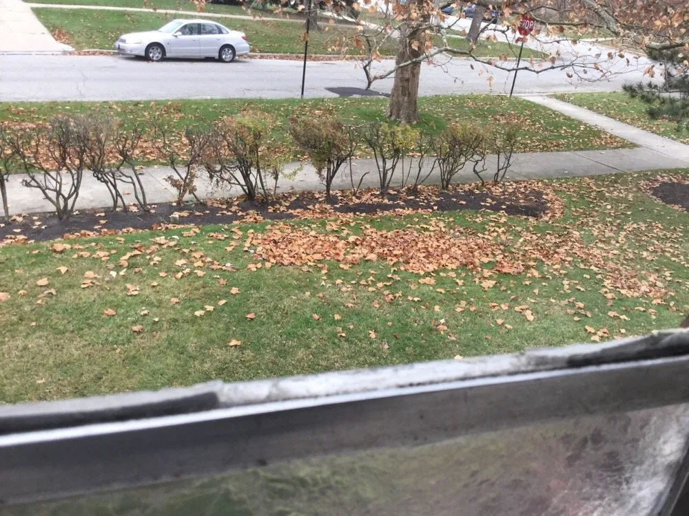 Affordable lawn mowing service for beautiful yards across Park Ridge, IL - Liberty Landscape