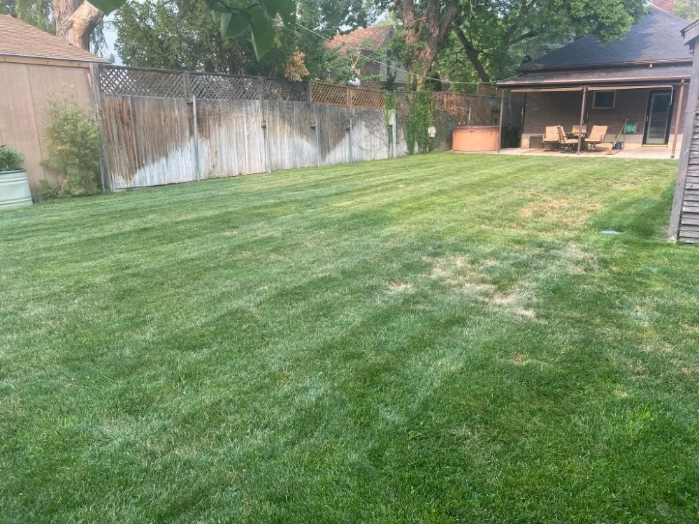 Expert lawn mowing service for outdoor upgrades across Salt Lake City, UT - Liberty Landscape
