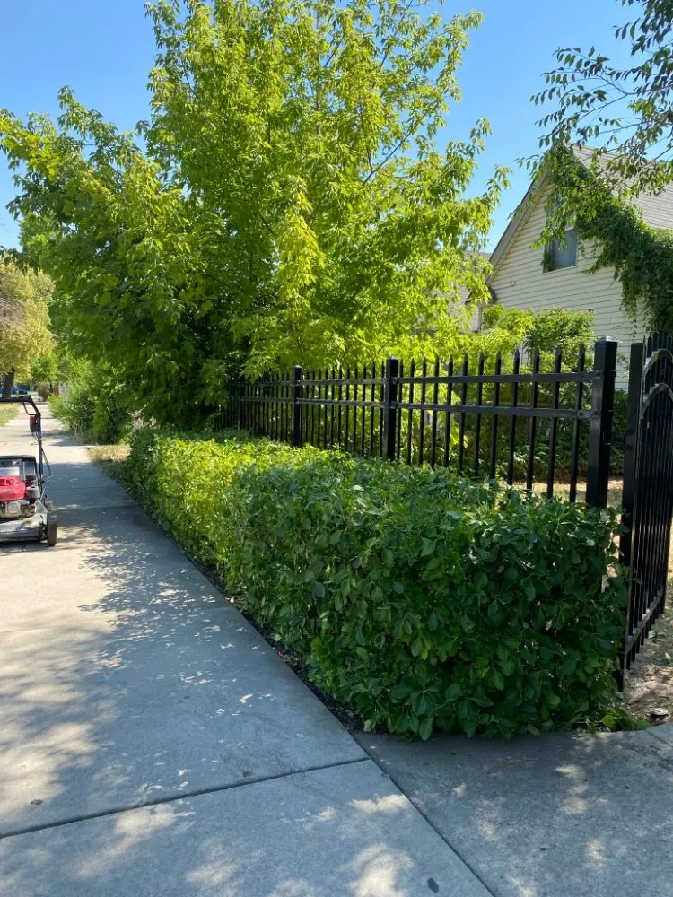 Affordable yard maintenance for homes in Salt Lake City, UT by Liberty Landscape