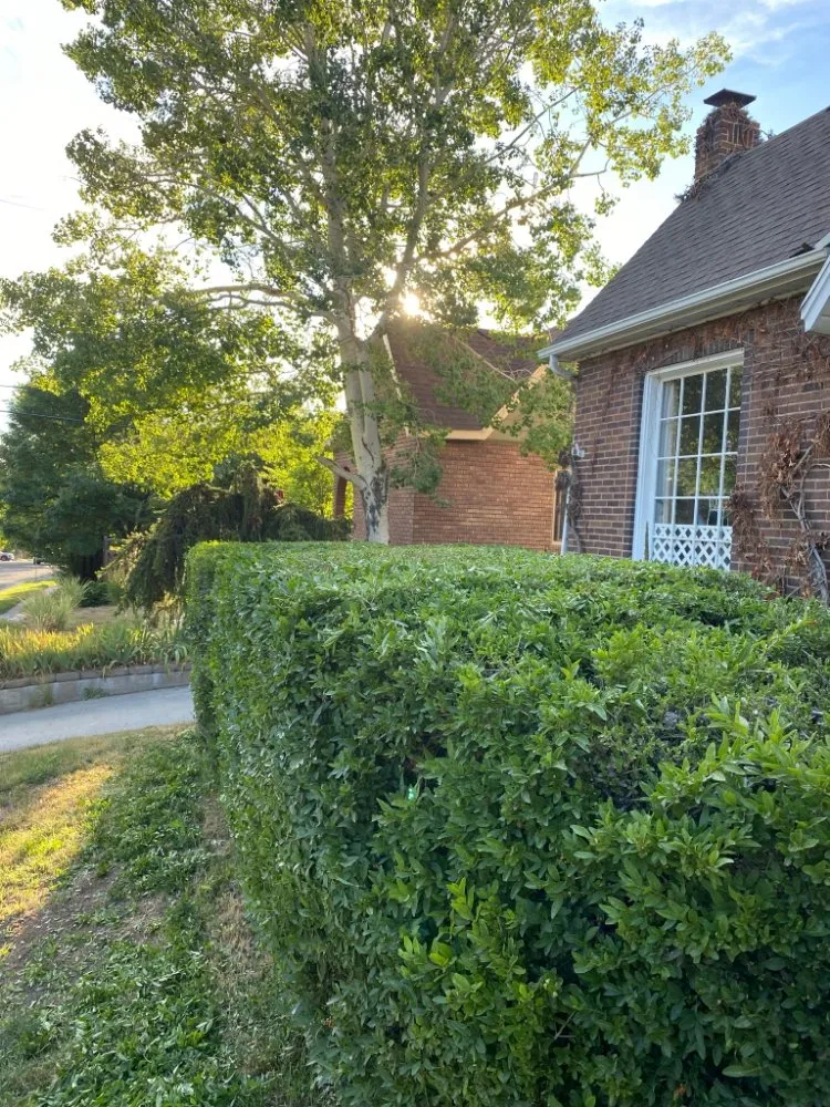 Reliable garden landscaping in Salt Lake City, UT - Liberty Landscape