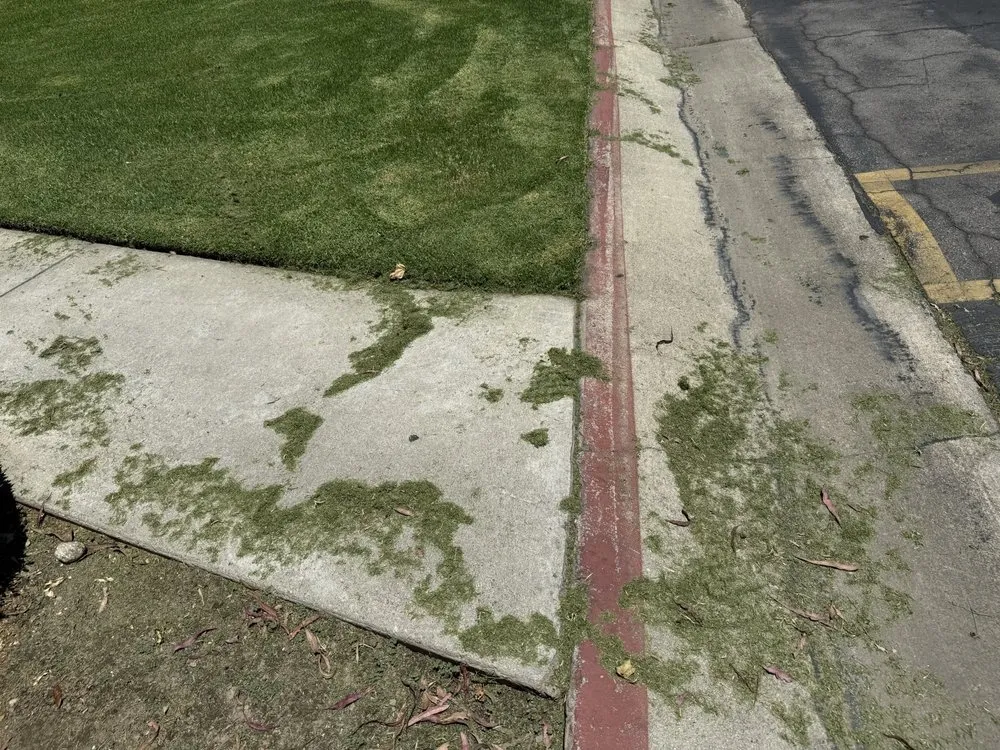 Local yard cleanup service in Riverside, CA - Liberty Landscaping