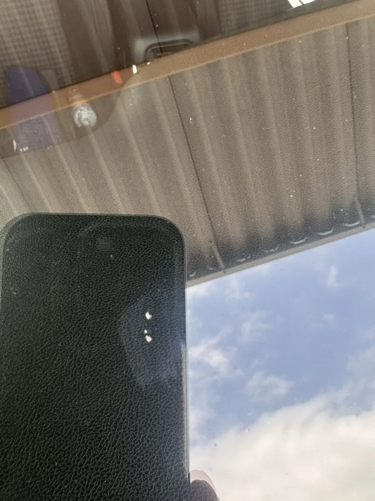 Trusted yard cleanup service experts serving Riverside, CA - Liberty Landscaping