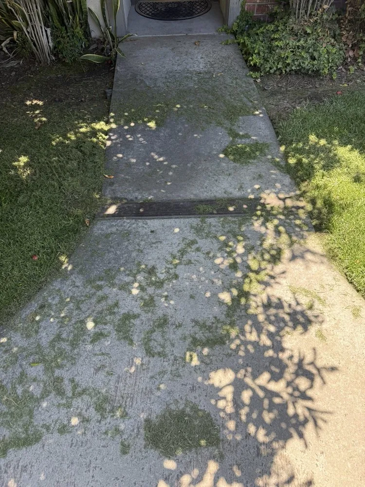 Top-rated yard cleanup service for outdoor upgrades in Riverside, CA by Liberty Landscaping