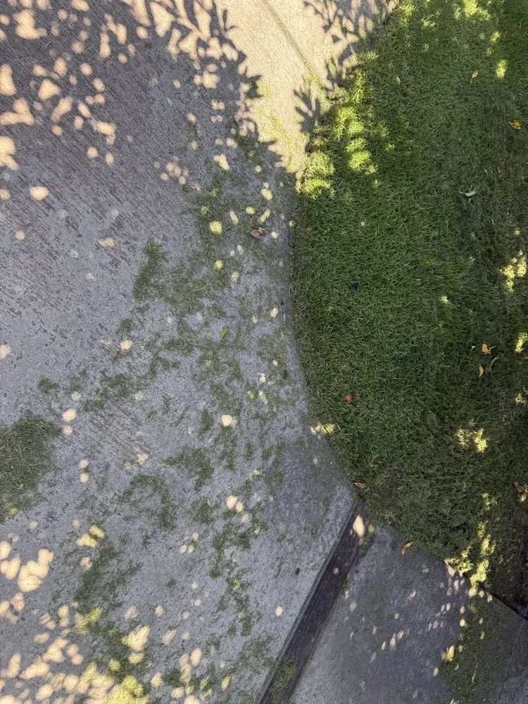 Professional residential landscaping experts serving Riverside, CA - Liberty Landscaping