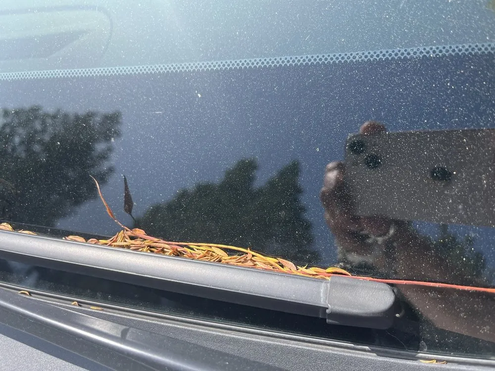 Affordable yard maintenance for beautiful yards across Riverside, CA - Liberty Landscaping