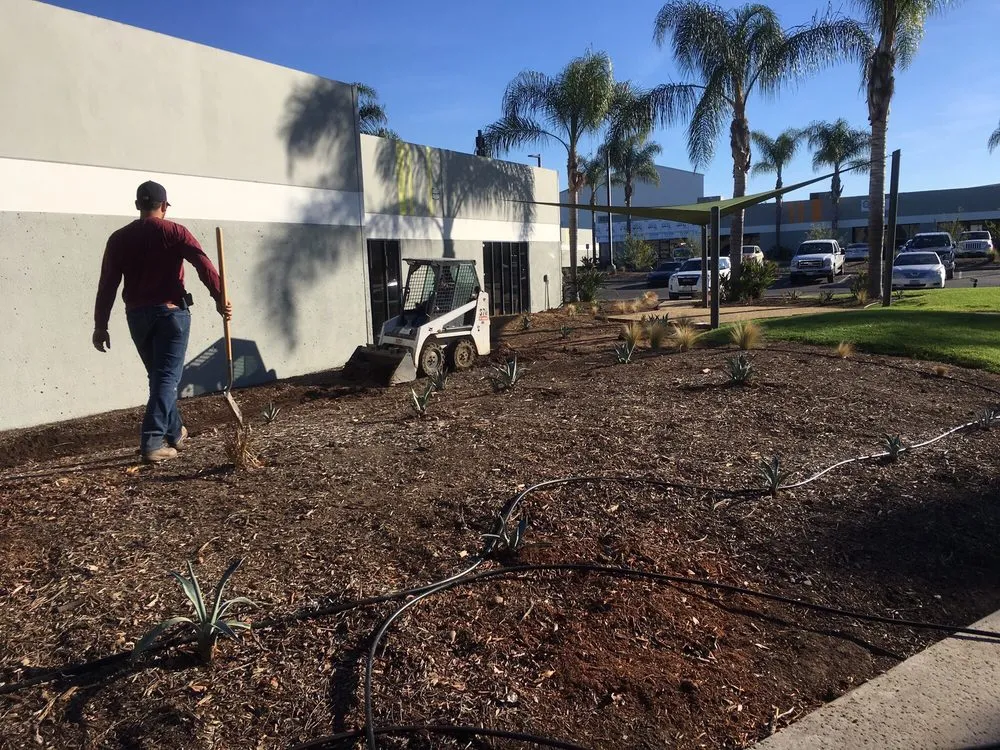 Local yard maintenance in San Diego, CA by Liberty Landscaping