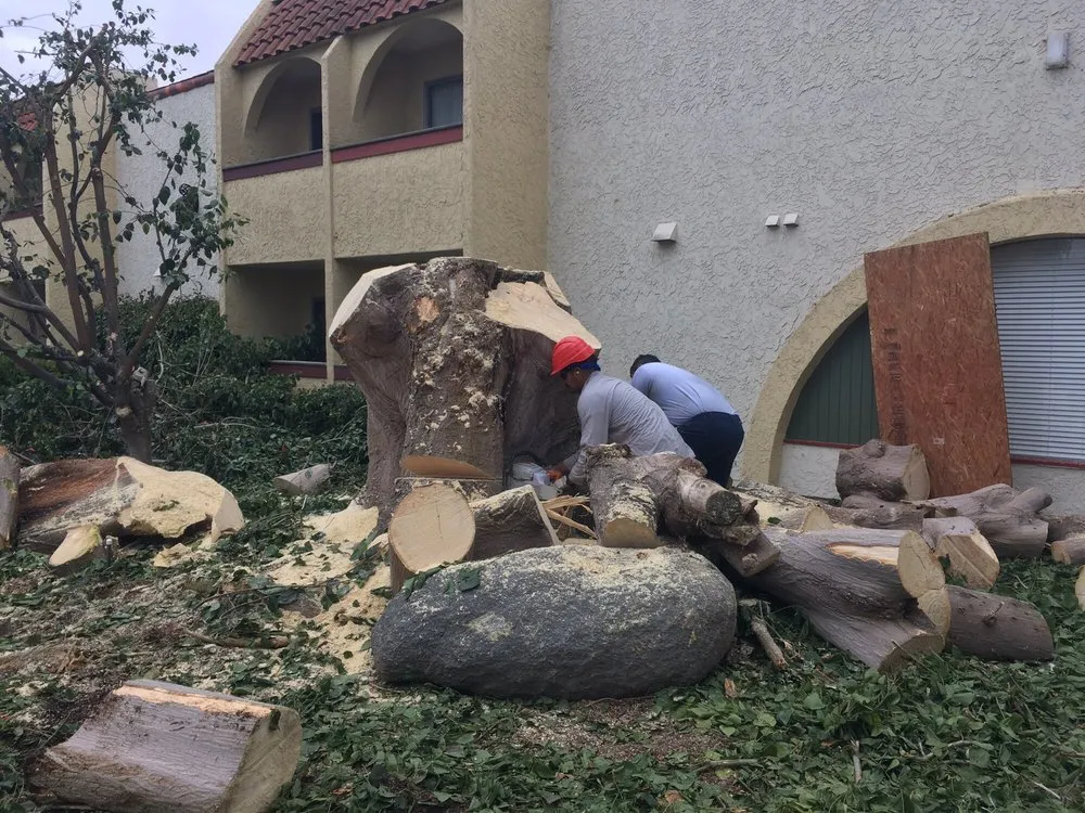 Top-rated landscaping services for residential properties in San Diego, CA by Liberty Landscaping