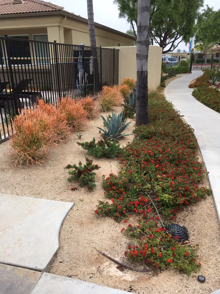Affordable landscape design experts serving San Diego, CA - Liberty Landscaping