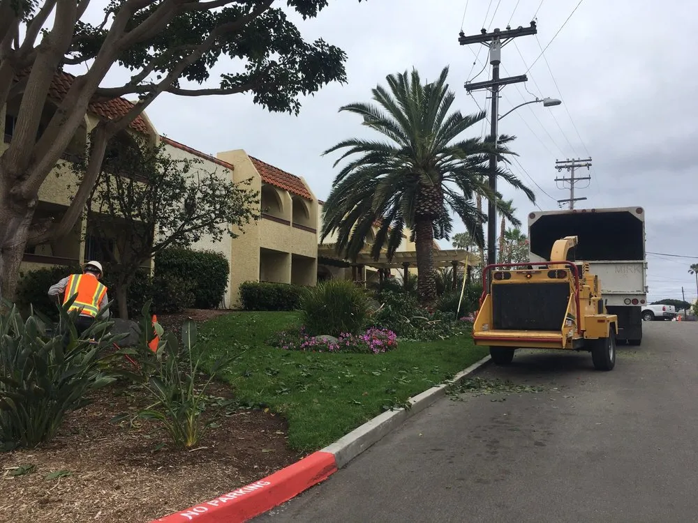 Reliable lawn care service for beautiful yards in San Diego, CA by Liberty Landscaping