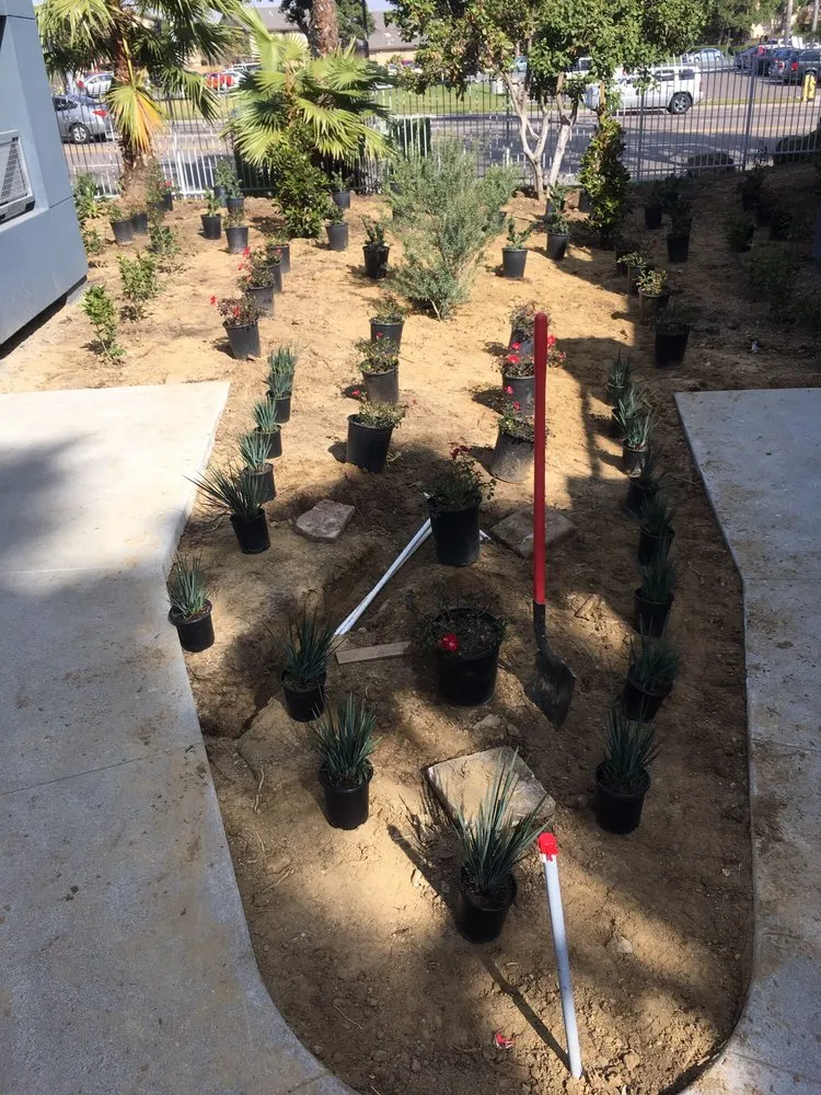 Trusted outdoor landscaping experts serving San Diego, CA - Liberty Landscaping