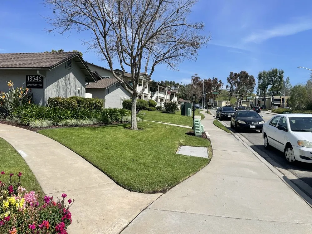 Professional yard cleanup service for beautiful yards in San Diego, CA by Liberty Landscaping