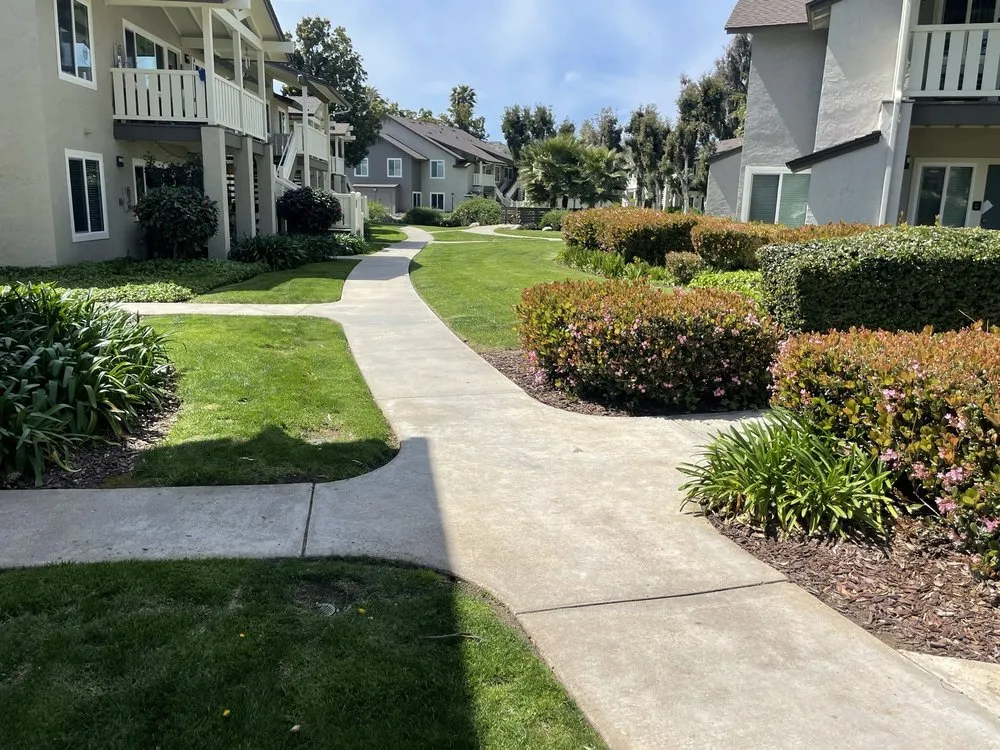 Affordable lawn care service for year-round maintenance in San Diego, CA by Liberty Landscaping