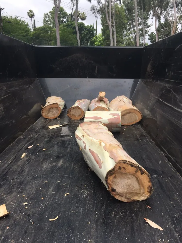 Local yard cleanup service experts serving San Diego, CA - Liberty Landscaping